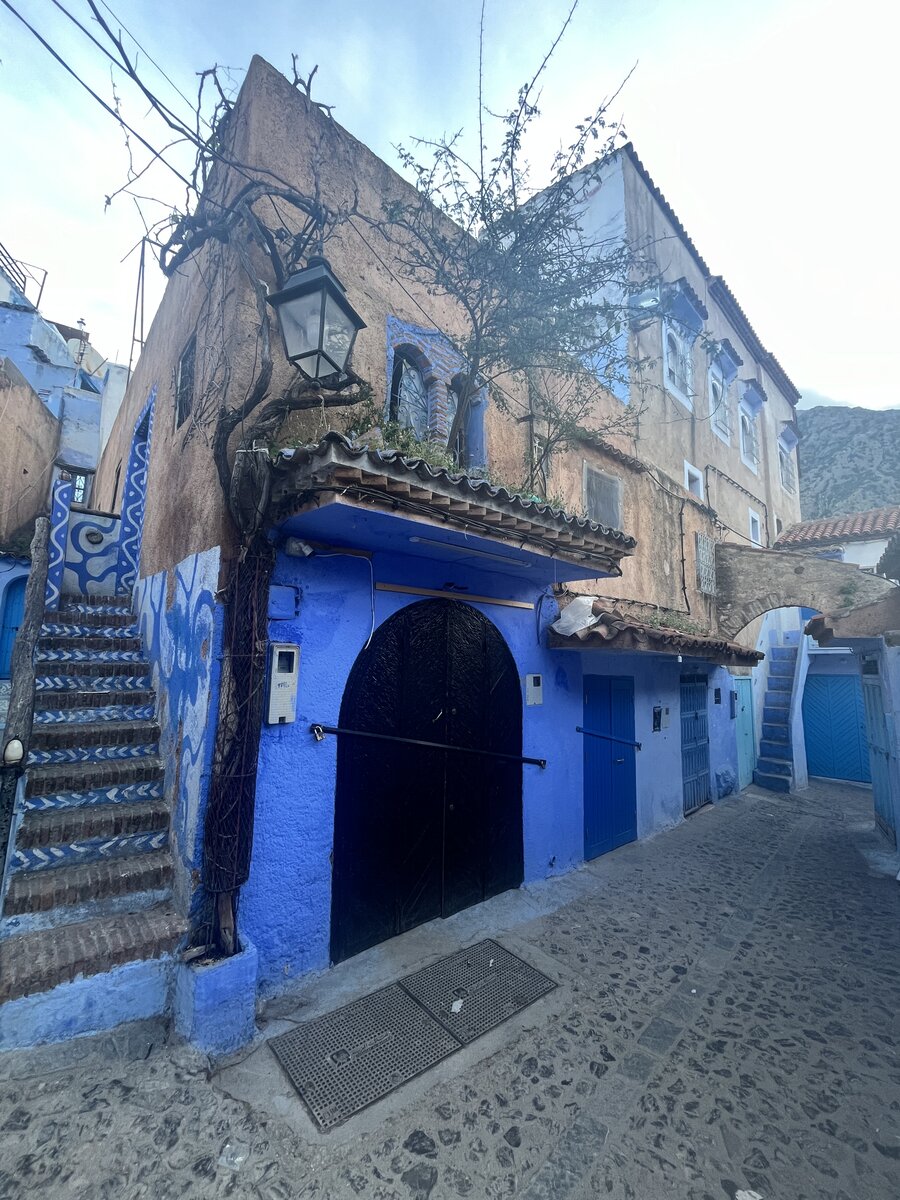 Galeria